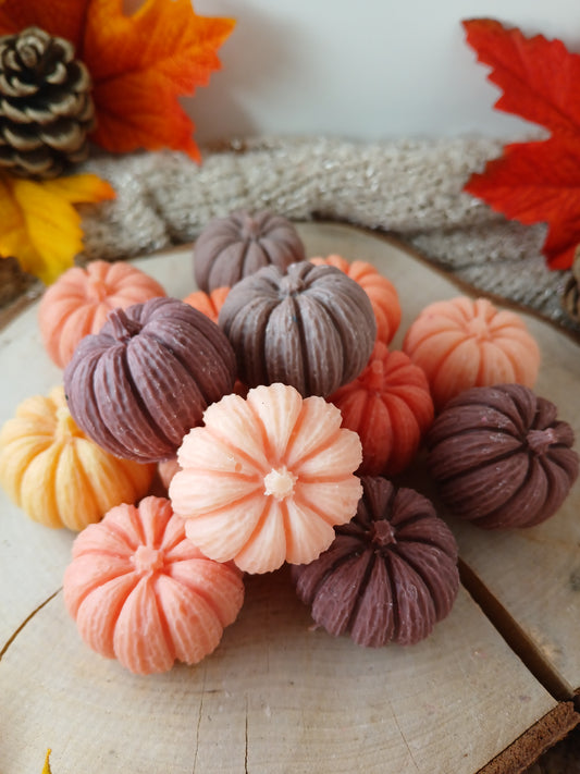 Autumn Wax melts
